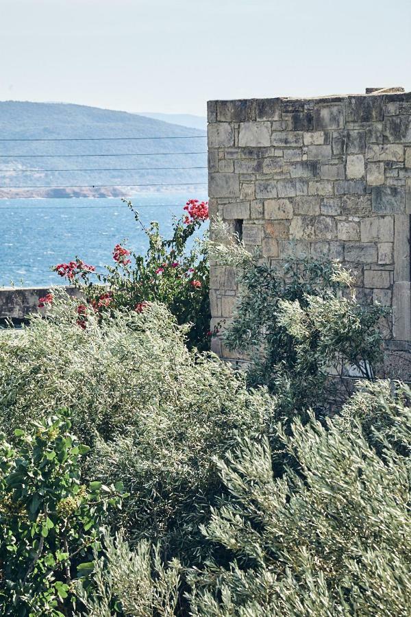 Nikolaou Art Residence Aegina Buitenkant foto