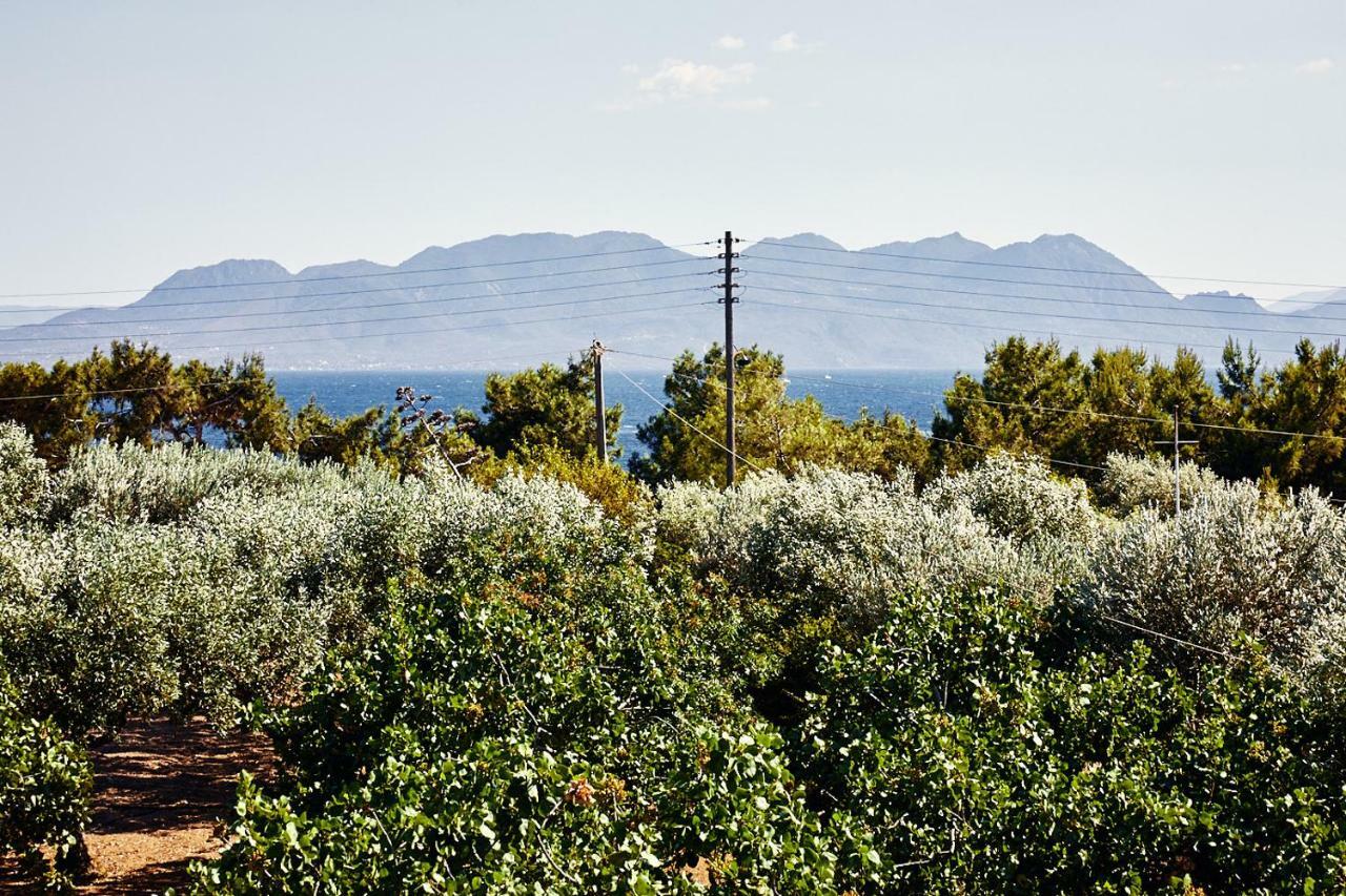 Nikolaou Art Residence Aegina Buitenkant foto